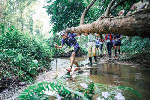 BIB: 
                            <button type="button" onclick="openModal(25459184)" class="btn btn-primary btn-sm float-right btn-popup" data-toggle="modal" data-target=".modal-high-quality">
                        <i class="fas fa-shopping-cart"></i> Add to Cart
                    </button>
                                            <button type="button" onclick="isThisMe(25459184, true)" class="btn btn-success btn-sm float-right btn-popup btn-isme hidden" data-toggle="tooltip" data-placement="bottom" title="นี่คือรูปของคุณใช่ไหม คลิกที่นี่เพื่อเอาเข้าอัลบั้ม">
                        <i class="fas fa-plus"></i> Add to album
                    </button>
                    <button type="button" onclick="isThisMe(25459184, false)" class="btn btn-warning btn-sm float-right btn-popup btn-isnotme hidden">
                        <i class="fas fa-ban"></i> Remove from album
                    </button>